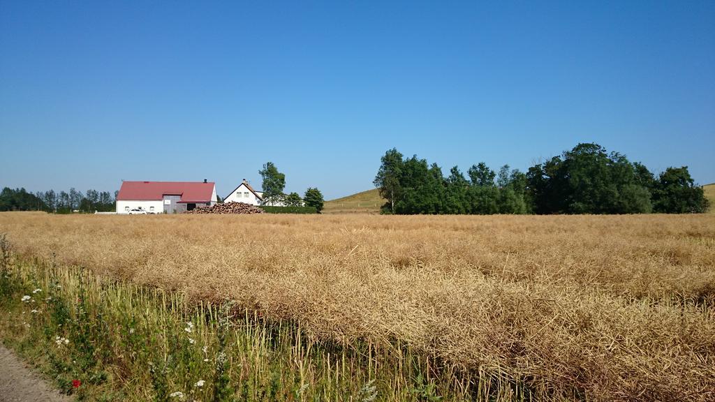Bed & Breakfast Vinkille Löderup Екстериор снимка